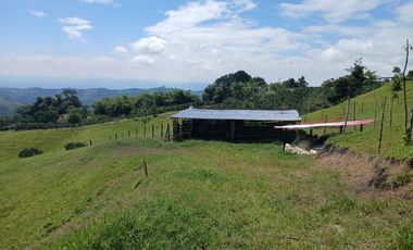 FINCA GANADERA EN SALONICA, RIO FRIO