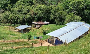 FINCA GANADERA EN SALONICA, RIO FRIO