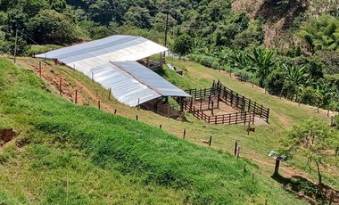 FINCA GANADERA EN SALONICA, RIO FRIO