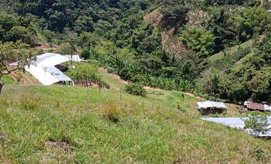 FINCA GANADERA EN SALONICA, RIO FRIO