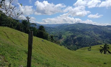 FINCA GANADERA EN SALONICA, RIO FRIO