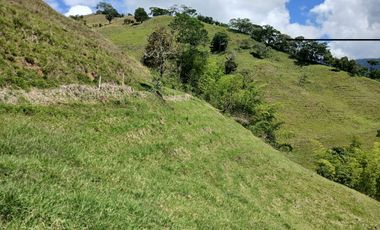 FINCA GANADERA EN SALONICA, RIO FRIO