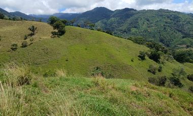 FINCA GANADERA EN SALONICA, RIO FRIO