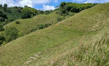 FINCA GANADERA EN SALONICA, RIO FRIO