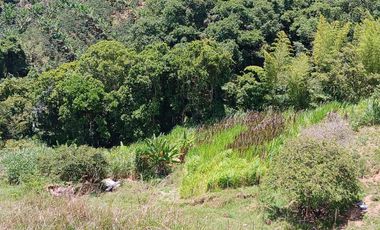 FINCA GANADERA EN SALONICA, RIO FRIO