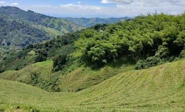 FINCA GANADERA EN SALONICA, RIO FRIO