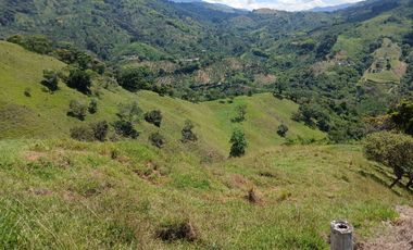 FINCA GANADERA EN SALONICA, RIO FRIO