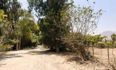 Vendo espectacular terreno en la mejor ubicación de Pachacamac
