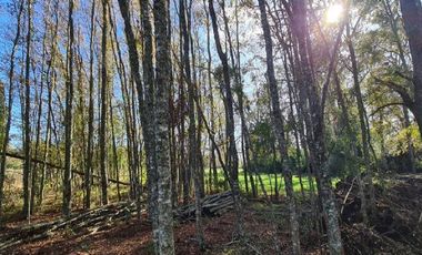 Parcelas Campo Viejo Villarrica