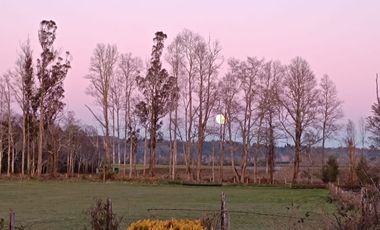 Parcelas Campo Viejo Villarrica