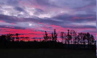 Parcelas Campo Viejo Villarrica