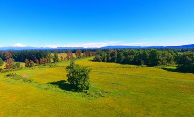 Parcelas Campo Viejo Villarrica