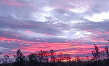 Parcelas Campo Viejo Villarrica