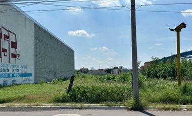 Terreno en Renta, Av. Valle de Santiago