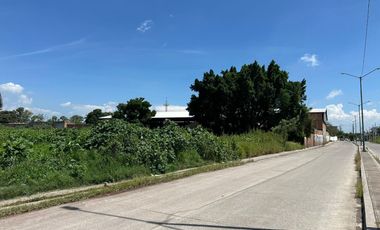 Terreno en Renta, Av. Valle de Santiago