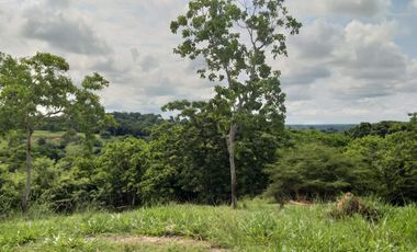 Venta de finca en Planeta Rica Vereda La Carolina