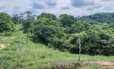 Venta de finca en Planeta Rica Vereda La Carolina