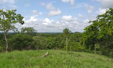 Venta de finca en Planeta Rica Vereda La Carolina