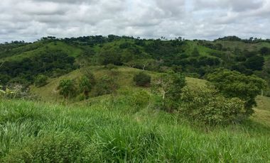 Venta de finca en Planeta Rica Vereda La Carolina