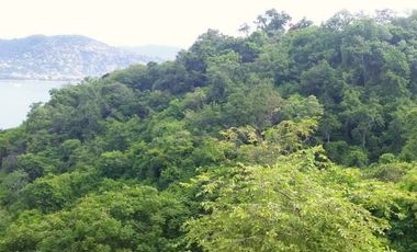 Venta Lotes Residenciales en Playa Las Gatas, Zihuatanejo, Gro. con ¡¡la mejor vista!!