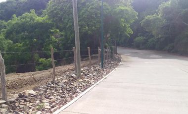 Venta Lotes Residenciales en Playa Las Gatas, Zihuatanejo, Gro. con ¡¡la mejor vista!!