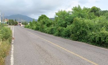 Venta Terreno en la puerta Ixtapa Zihuatanejo,Gro. Ideal para Negocio, Solo contado.