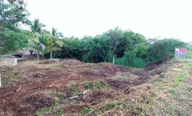 Venta Terreno en la puerta Ixtapa Zihuatanejo,Gro. Ideal para Negocio, Solo contado.