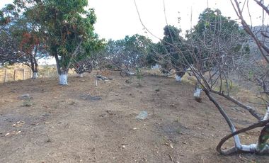 Venta Terreno con Excelente VISTA a la Bahía de Zihuatanejo Gro.