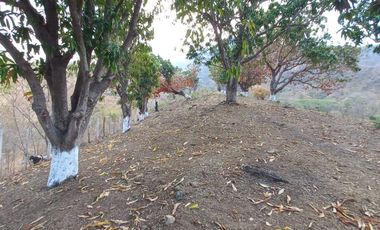 Venta Terreno con Excelente VISTA a la Bahía de Zihuatanejo Gro.