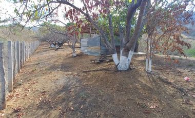 Venta Terreno con Excelente VISTA a la Bahía de Zihuatanejo Gro.