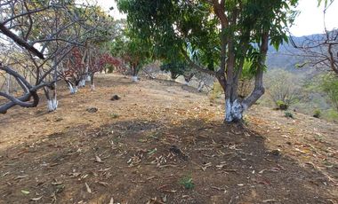 Venta Terreno con Excelente VISTA a la Bahía de Zihuatanejo Gro.