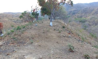 Venta Terreno con Excelente VISTA a la Bahía de Zihuatanejo Gro.