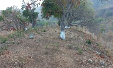 Venta Terreno con Excelente VISTA a la Bahía de Zihuatanejo Gro.