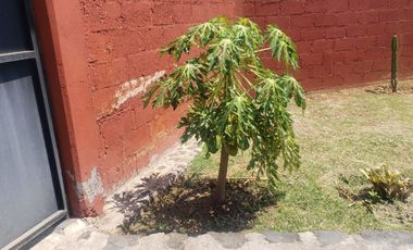 Vendo linda casa a 10 minutos del centro de Malinalco