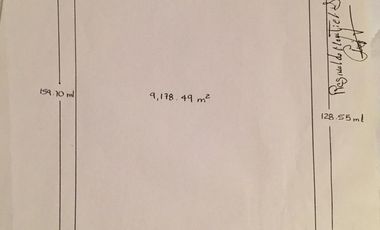 Terreno en san miguel tornacuxtla, es propiedad con servicios