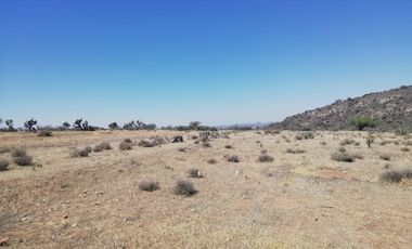 Terreno en san miguel tornacuxtla, es propiedad con servicios