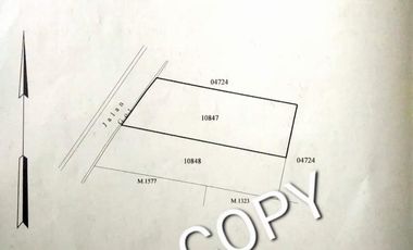 Tanah 500m² di jln Tengah Umalas kerobokan