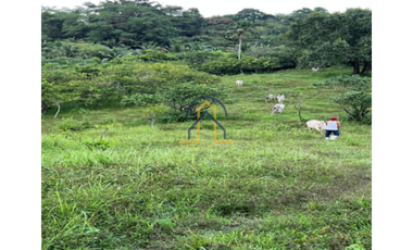 FARM LOT FOR SALE IN IN MARCOS H-WAY TANAY RIZAL