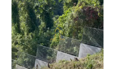 FARM LOT FOR SALE IN IN MARCOS H-WAY TANAY RIZAL