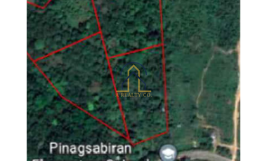 FARM LOT FOR SALE IN IN MARCOS H-WAY TANAY RIZAL