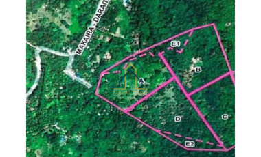 FARM LOT FOR SALE IN IN MARCOS H-WAY TANAY RIZAL