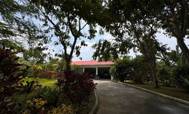 FARM HOUSE FOR SALE MATAAS NA KAHOY BATANGAS