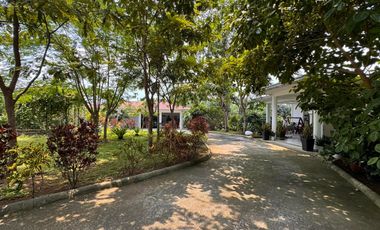 FARM HOUSE FOR SALE MATAAS NA KAHOY BATANGAS
