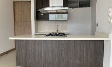 45585 Apartamento en arriendo en el sector Mesas