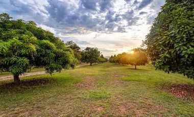 ALQUILER DE HERMOSA FINCA EL AZULEJO LLAMANOS AL3023245417 DISFRUTA EN FAMILIA