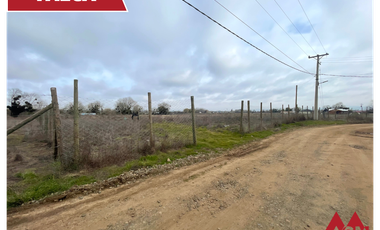 Parcela con Luz Eléctrica, Rol a 15 minutos de Talca
