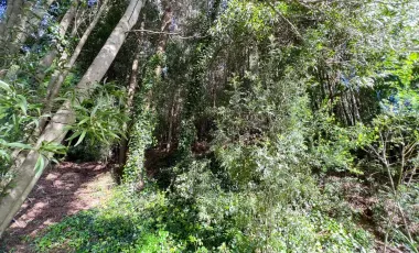 Linda Casa En Cerro La Virgen