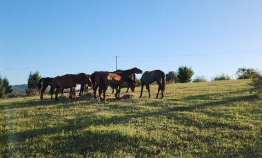 PARCELAS AGRORESIDENCIALES TRES MARIAS