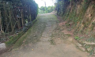 VENDO FINCA DE UNA HECTÁREA ENTRE GIRARDOTA Y BARBOSA ANTIOQUIA