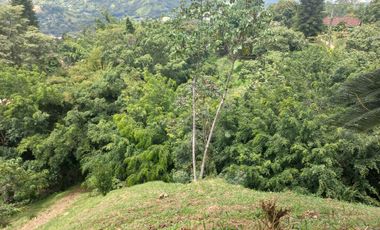VENDO FINCA DE UNA HECTÁREA ENTRE GIRARDOTA Y BARBOSA ANTIOQUIA